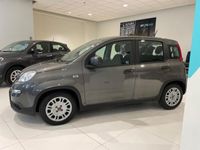 usata Fiat Panda 1.0 FireFly 70cv S&S Hybrid