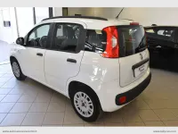 Usata Fiat Panda Easy 75 CV (55 kW) 2013 Bianco Utilitaria