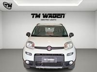 Usata Fiat Panda 4x4 S 95 CV (69 kW) 2017 Bianco Utilitaria