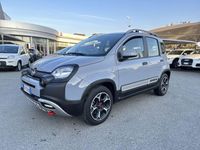 Usata Fiat Panda Cross Cross 69 CV (50 kW) 2021 Grigio Utilitaria