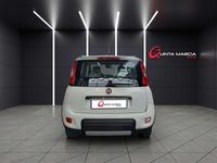 Usata Fiat Panda 4x4 S 95 CV (69 kW) 2016 Bianco Utilitaria