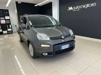 Usata Fiat Panda 69 CV (50 kW) 2023 Grigio Utilitaria