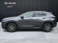 Usata Lexus NX300h Sport Line 309 CV (227 kW) 2022 Grigio SUV