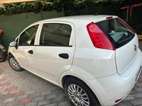 Usata Fiat Punto Classica 69 CV (50 kW) 2018 Bianco Utilitaria