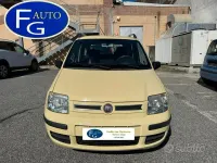 Usata Fiat Panda Dynamic 54 CV (39 kW) 2009 Giallo Utilitaria