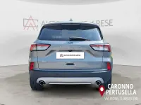 Usata Ford Kuga Titanium 120 CV (88 kW) 2024 Grigio SUV