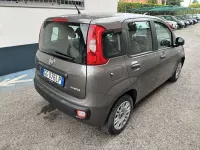 Usata Fiat Panda S 69 CV (50 kW) 2021 Grigio Utilitaria