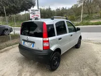 Usata Fiat Panda 4x4 Active 75 CV (55 kW) 2011 Grigio Utilitaria