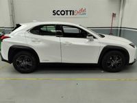 usata Lexus UX Hybrid Executive