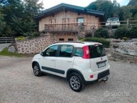 Usata Fiat Panda 4x4 86 CV (63 kW) 2017 Bianco Utilitaria