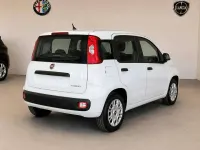 Nuova Fiat Panda Pop 65 CV (47 kW) 2026 Bianco Utilitaria