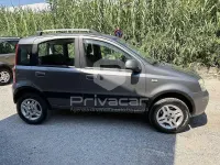 Usata Fiat Panda 4x4 Climbing 75 CV (55 kW) 2011 Grigio Utilitaria