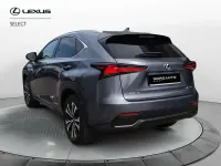 Usata Lexus NX300h Sport Line 197 CV (144 kW) 2019 Grigio SUV