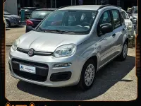 Usata Fiat Panda Easy 69 CV (50 kW) 2013 Grigio Utilitaria