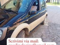 Usata Fiat Panda 4x4 Cross 69 CV (50 kW) 2006 Verde Utilitaria