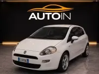 Usata Fiat Punto Lounge 69 CV (50 kW) 2013 Bianco Utilitaria