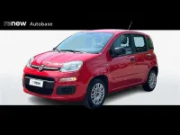Usata Fiat Panda Easy 69 CV (50 kW) 2019 Rosso Utilitaria