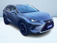 usata Lexus NX300 300 2.5 Hybrid Premium 4WD CVT