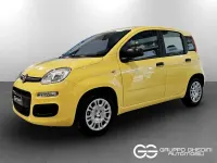 Nuova Fiat Panda 65 CV (47 kW) 2026 Giallo Utilitaria