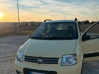 Usata Fiat Panda Dynamic 60 CV (44 kW) 2009 Giallo Berlina