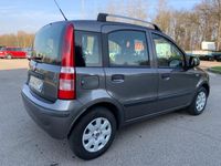 usata Fiat Panda 1.2 Dynamic*Neopatentati*