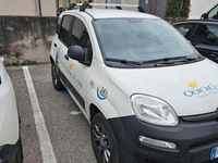 Usata Fiat Panda 4x4 2018 Bianco Utilitaria