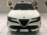 Usata Alfa Romeo Junior 114 kW (156 CV) 2025 Bianco SUV