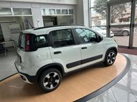 usata Fiat Panda 4x4 1.0 FireFly S&S Hybrid