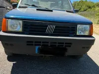 Usata Fiat Panda 4x4 Trekking 54 CV (39 kW) 2001 Utilitaria