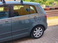 Usata VW Golf Plus Cross Comfortline 105 CV (77 kW) 2005 Verde Monovolume