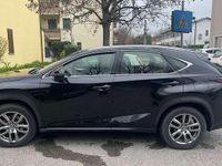 Usata Lexus NX300h Sport Line 155 CV (114 kW) 2018 SUV