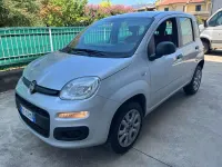 Usata Fiat Panda Lounge 84 CV (61 kW) 2015 Grigio Utilitaria