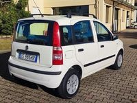 usata Fiat Panda 1.2 Dynamic OK NEOPATENTATI