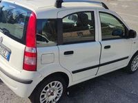 usata Fiat Panda Panda1.2 Dynamic 69cv E5