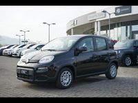 Usata Fiat Panda S 70 CV (51 kW) 2024 Nero Utilitaria