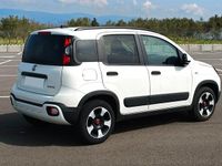 Usata Fiat Panda S 69 CV (50 kW) 2024 Bianco Utilitaria
