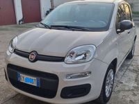 usata Fiat Panda PandaIII 2012 1.2 Easy 69cv E6