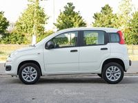 Usata Fiat Panda Lounge 86 CV (63 kW) 2020 Bianco Utilitaria