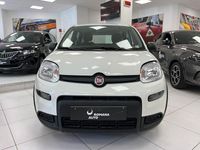 Usata Fiat Panda S 70 CV (51 kW) 2024 Bianco Utilitaria