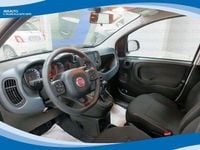 Usata Fiat Panda 70 CV (51 kW) 2024 Bianco Utilitaria