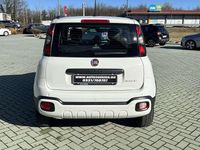 Usata Fiat Panda Cross Cross 69 CV (50 kW) 2020 Bianco Utilitaria