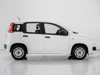 usata Fiat Panda 1.2 Easy