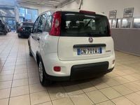 Usata Fiat Panda S 69 CV (50 kW) 2023 Other Utilitaria