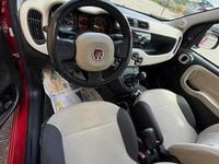 Usata Fiat Panda 69 CV (50 kW) 2013 Rosso Utilitaria