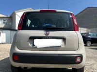 usata Fiat Panda Panda 1.2 Easy