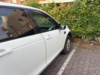 Usata Land Rover Discovery Sport Pure 150 CV (110 kW) 2016 Bianco SUV
