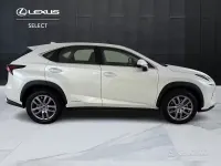 Usata Lexus NX300h 155 CV (114 kW) 2021 Bianco SUV