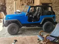 Usata Jeep Wrangler 2003 SUV