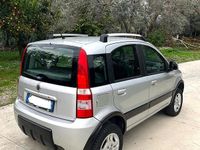 Usata Fiat Panda 4x4 Climbing 69 CV (50 kW) 2010 Grigio Utilitaria