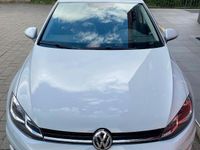 Usata VW Golf VII Edition 86 CV (63 kW) 2017 Grigio Berlina
